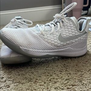 Nike Akron 330 Basketball shoes